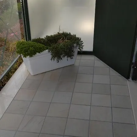 Apartament Elegantemare