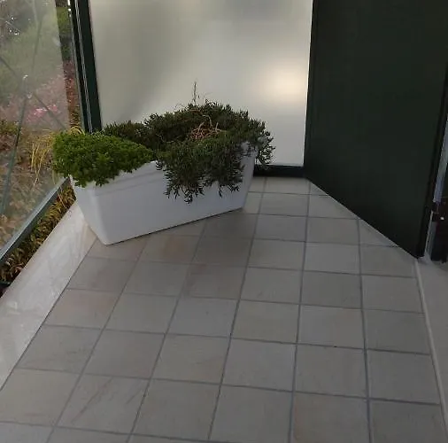 Apartament Elegantemare